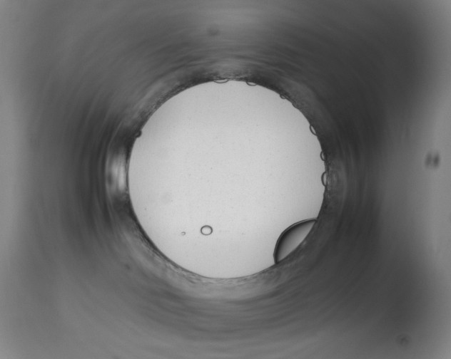 X0000112790046200909181523