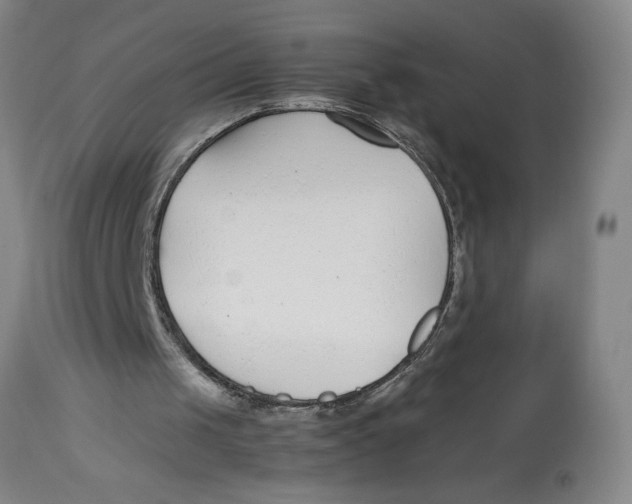 X0000112790049200909181523