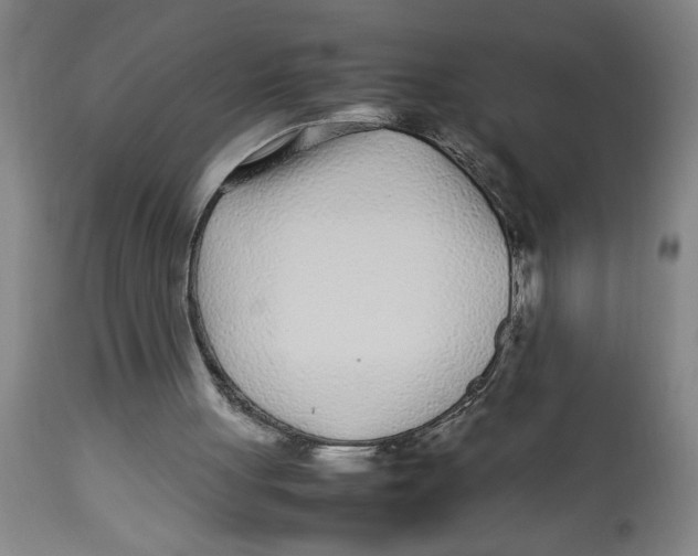 X0000112790051200909181523