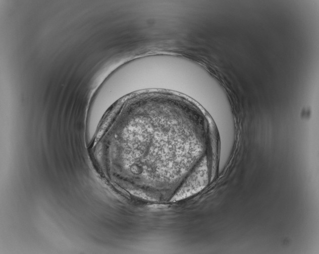 X0000112790052200909181523