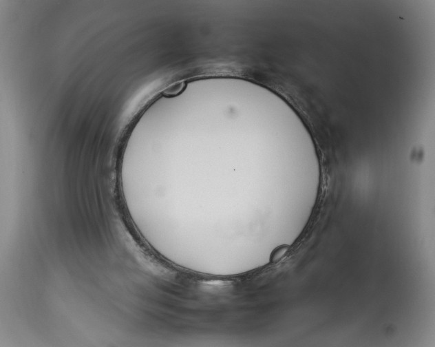 X0000112790053200909181523