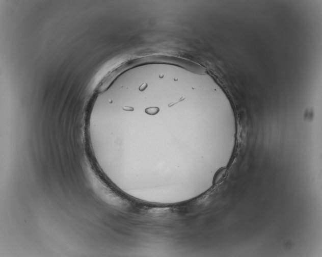 X0000112790054200909181523