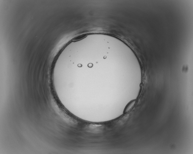 X0000112790055200909181523