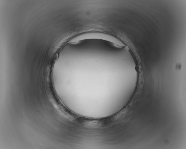 X0000112790058200909181523