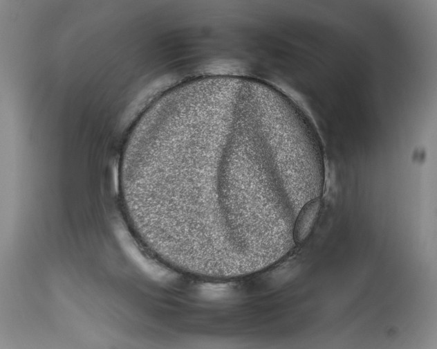 X0000112790061200909181523