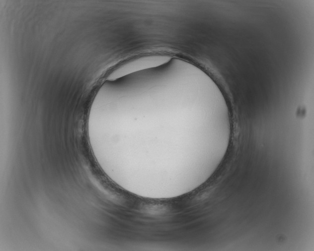 X0000112790063200909181523