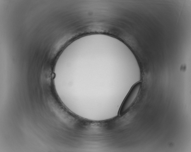 X0000112790064200909181523