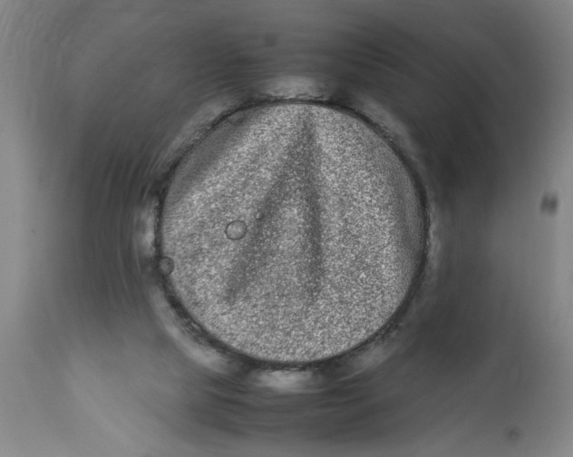 X0000112790065200909181523