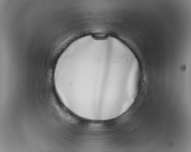 X0000112790066200909181523