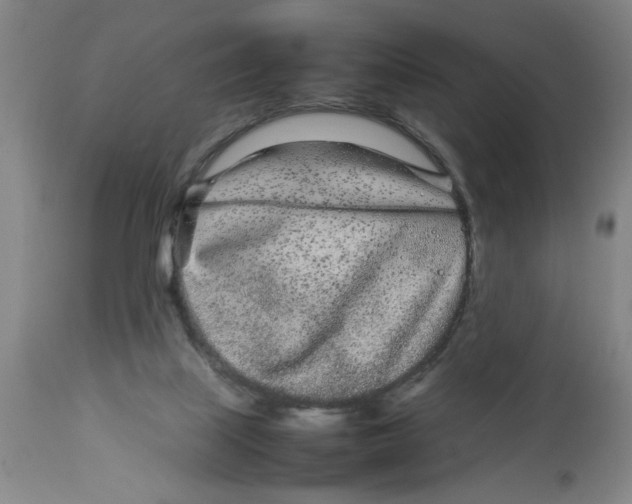 X0000112790067200909181523