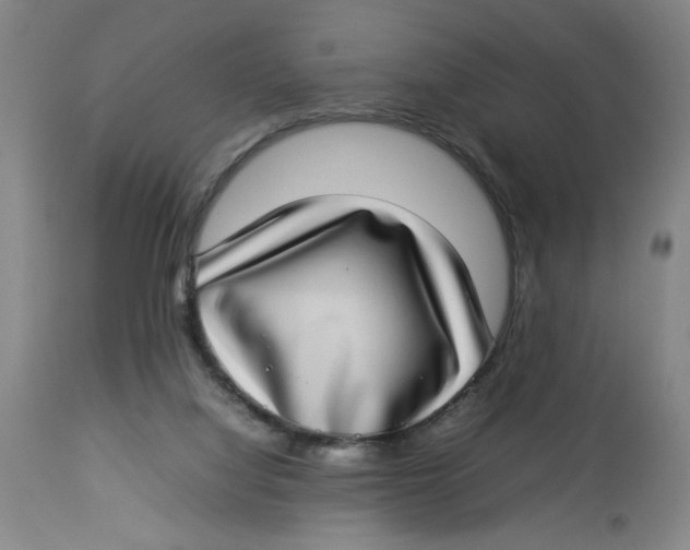 X0000112790068200909181523