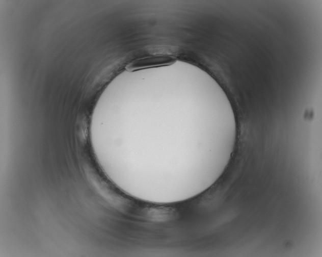 X0000112790069200909181523