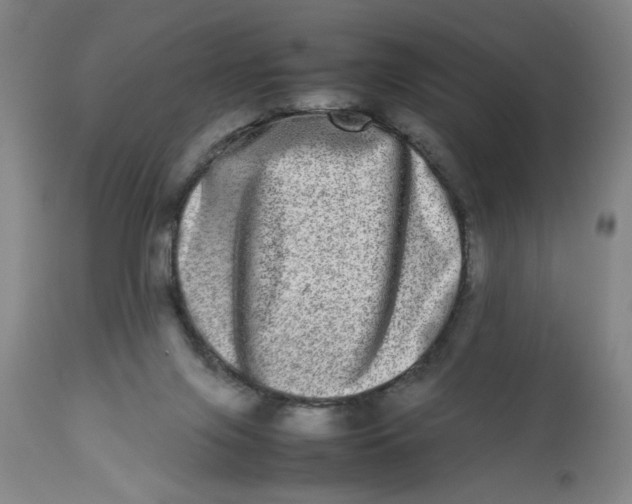 X0000112790071200909181523