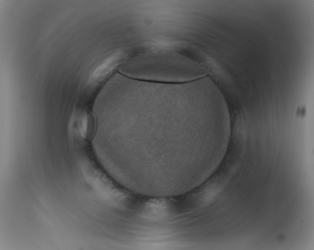 X0000112790076200909181523