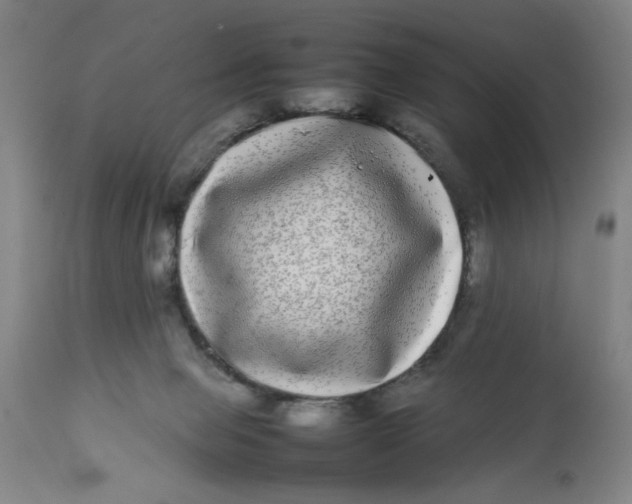 X0000112790077200909181523