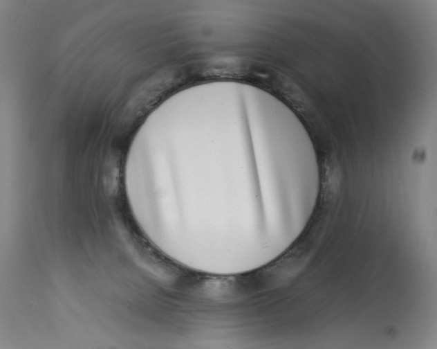 X0000112790080200909181523