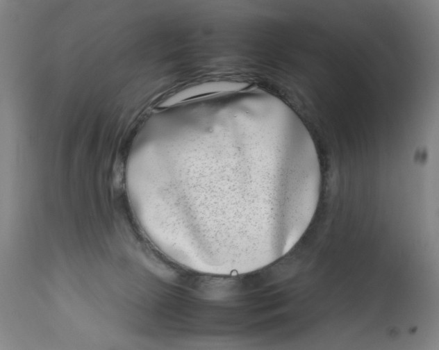 X0000112790081200909181523