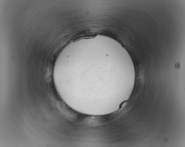 X0000112790082200909181523