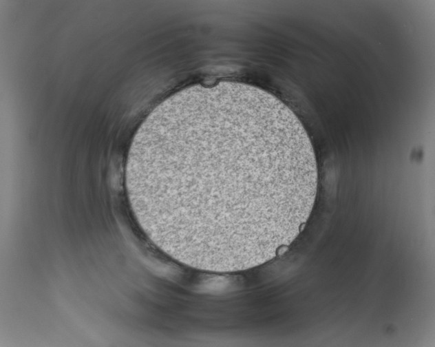 X0000112790083200909181523