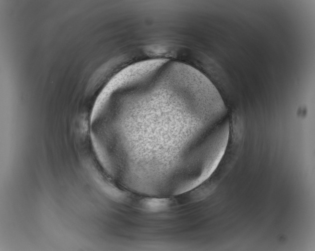 X0000112790085200909181523