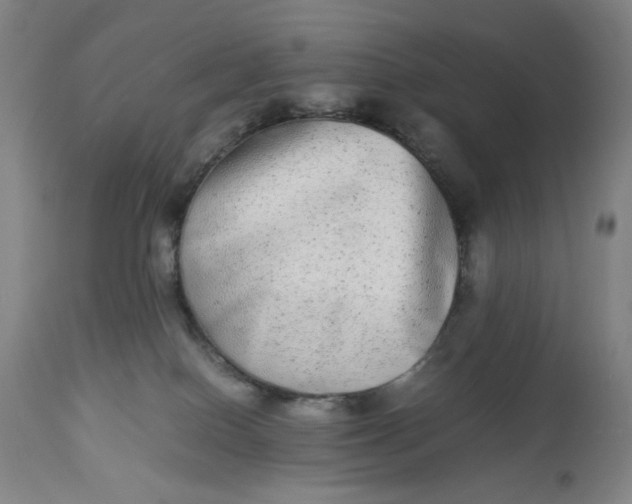 X0000112790086200909181523