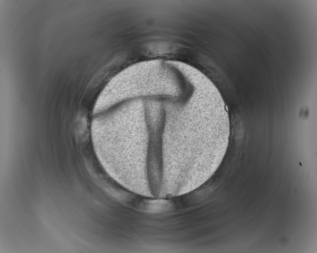 X0000112790087200909181523