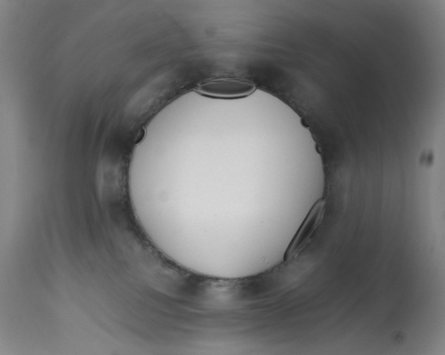 X0000112790088200909181523