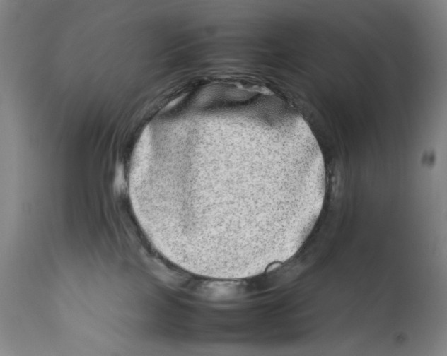 X0000112790089200909181523