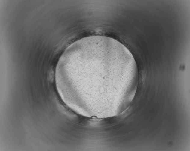 X0000112790090200909181523