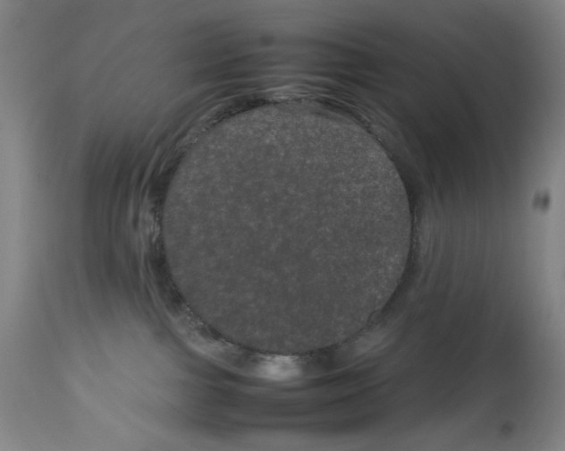 X0000112790091200909181523