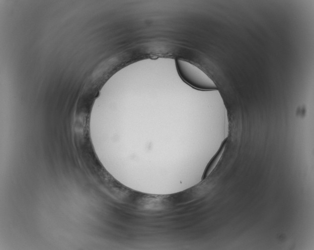 X0000112790093200909181523