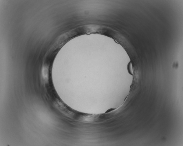 X0000112790094200909181523