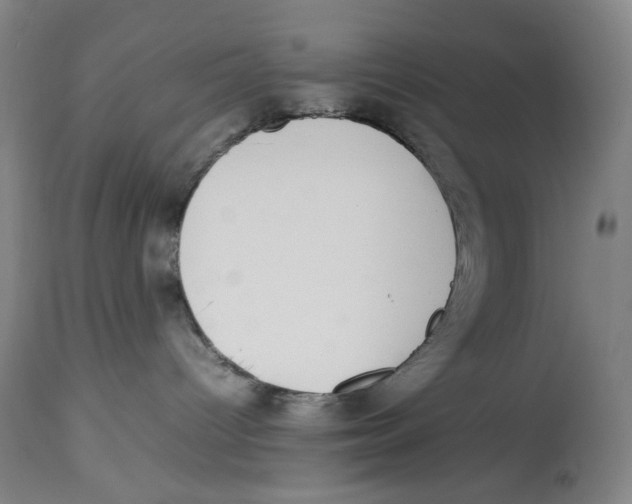 X0000112790096200909181523