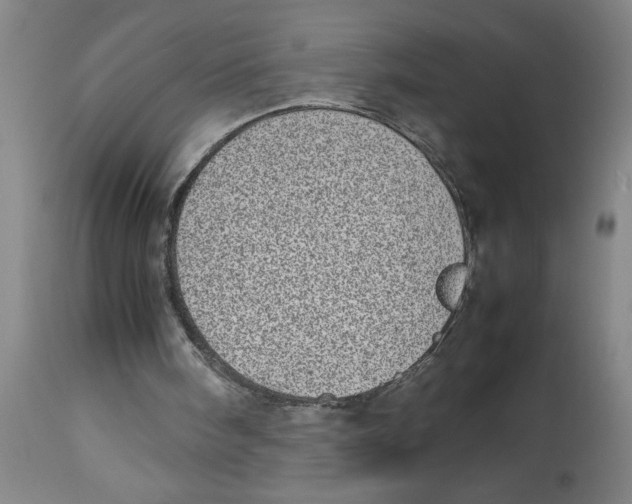 X0000112790098200909181523