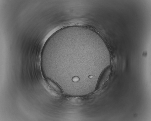 X0000112790100200909181523