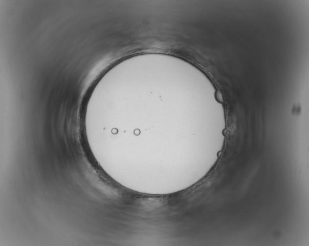 X0000112790102200909181523