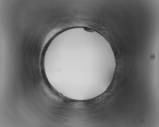 X0000112790104200909181523