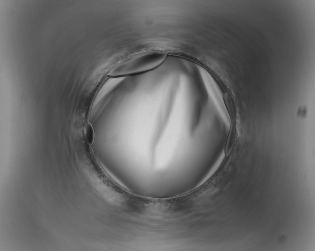 X0000112790105200909181523