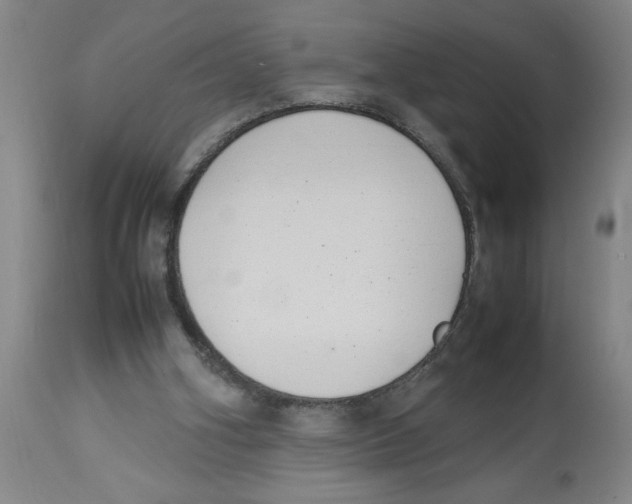 X0000112790106200909181523