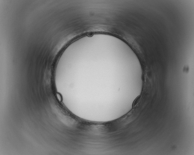 X0000112790108200909181523