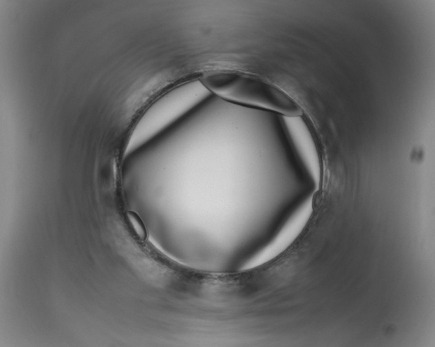 X0000112790109200909181523