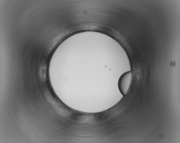 X0000112790110200909181523