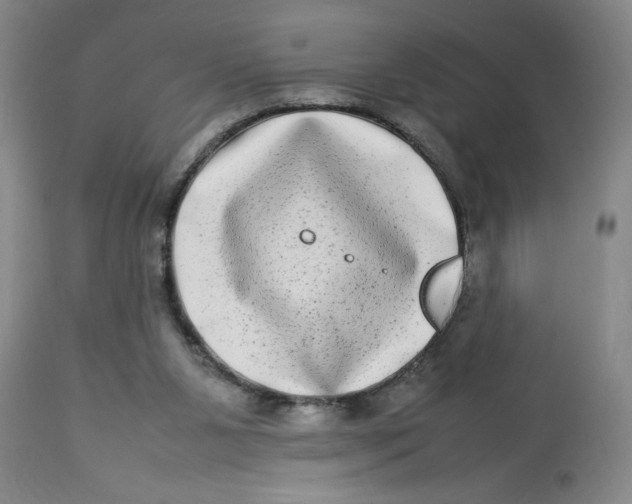 X0000112790111200909181523