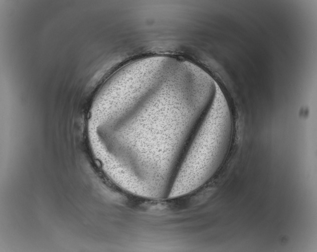 X0000112790113200909181523