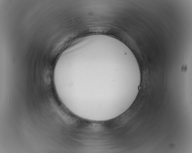 X0000112790114200909181523