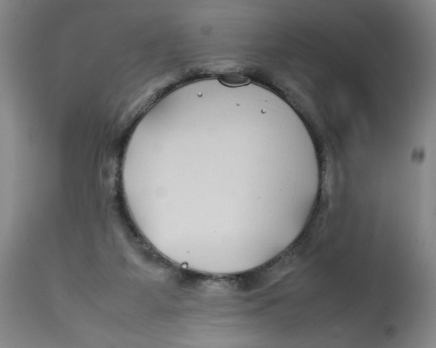 X0000112790115200909181522