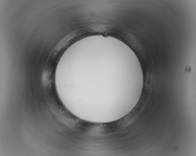 X0000112790116200909181522