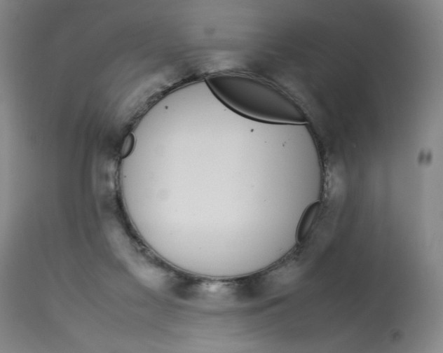 X0000112790117200909181522