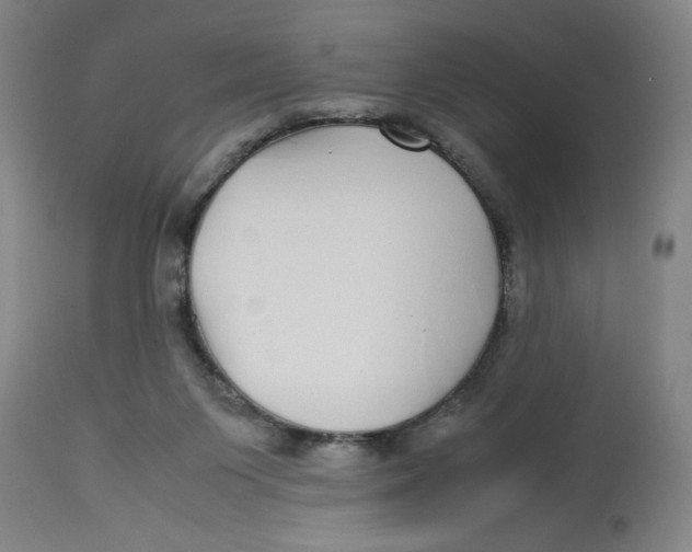 X0000112790119200909181522