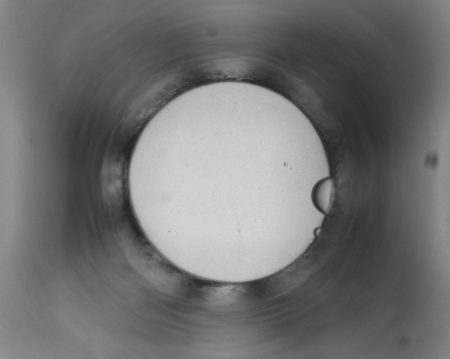 X0000112790122200909181522